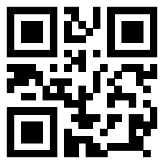 QrCode di 3918434033