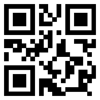 Il Qr Code di 3918459487