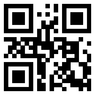 Il Qr Code di 3918459869
