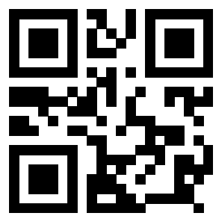 Il Qr Code di 3918459904
