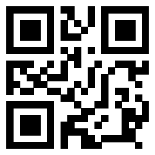Il Qr Code di 3918460074