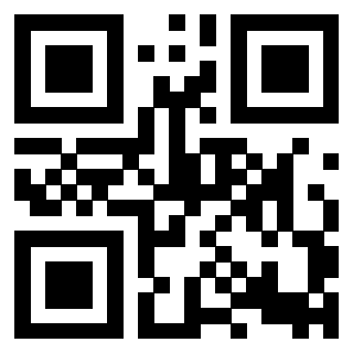 Il Qr Code di 3918460084