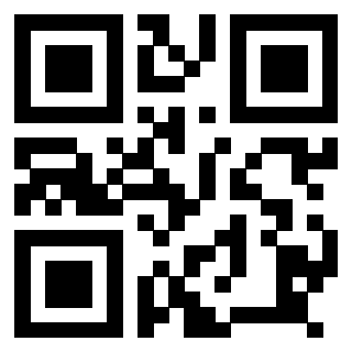 Il Qr Code di 3918461065