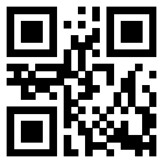 Il Qr Code di 3918461528