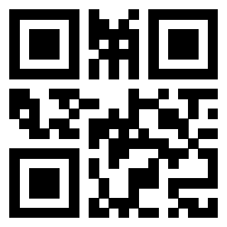 Il Qr Code di 3918462011