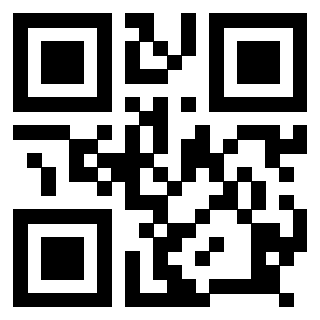 Il Qr Code di 3918462110