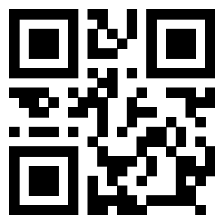 Il Qr Code di 3918462349