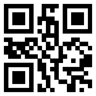 Il Qr Code di 3918484338