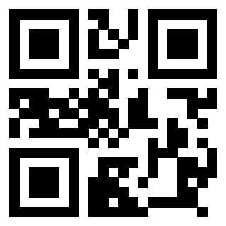 Il Qr Code di 3918484487