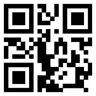 Il Qr Code di 3918484558
