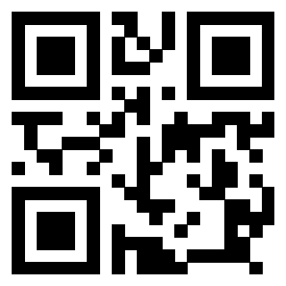 Il Qr Code di 3918484862
