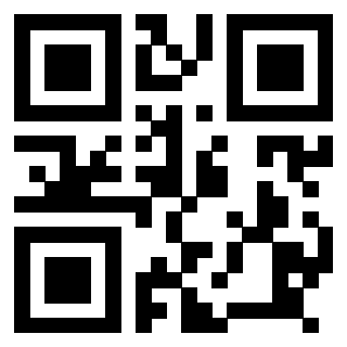 QrCode di 3918484933