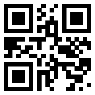 Il Qr Code di 3918495997