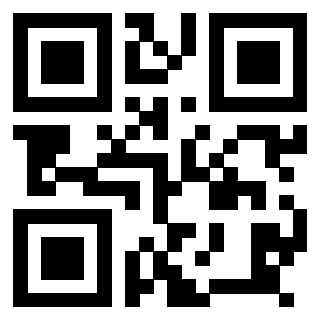 Il Qr Code di 3918496013