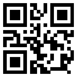 Il Qr Code di 3918496053