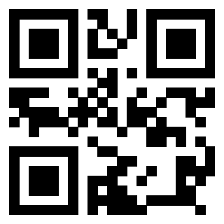 Il Qr Code di 3918496092