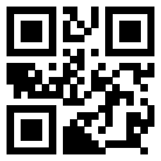 3918496095 QrCode associato