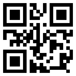 3918496256 QrCode associato