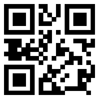Il Qr Code di 3918496310