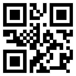 Il Qr Code di 3918496509