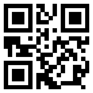 Il Qr Code di 3918498299