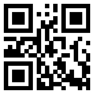 Il Qr Code di 3918498513