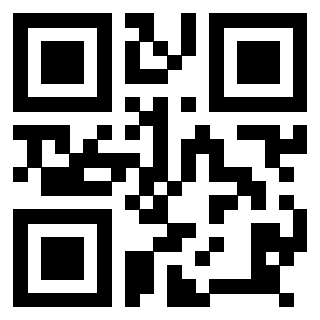 QrCode di 3918498556