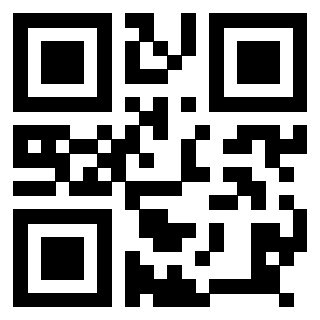 Il Qr Code di 3918498623