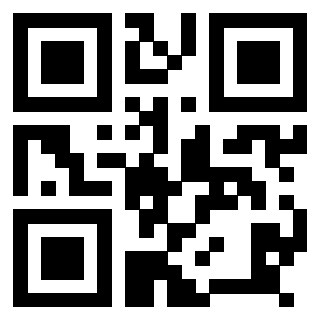 Il Qr Code di 3918498728