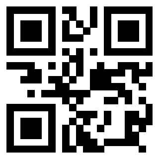 Il Qr Code di 3918498843