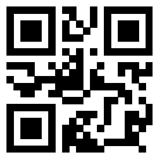 Il Qr Code di 3918498977
