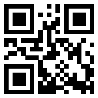QrCode di 3918499030