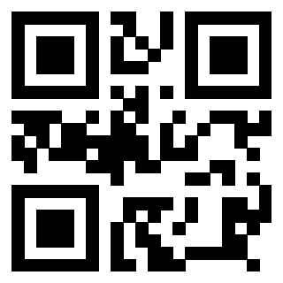 QrCode di 3918499043