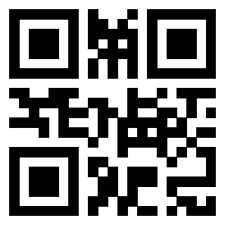 Il Qr Code di 3918499070