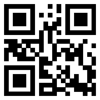 QrCode di 3918499119