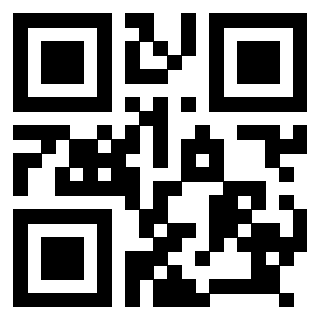 Il Qr Code di 3918520537