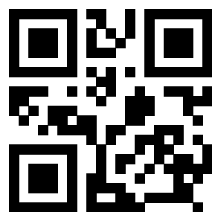 Il Qr Code di 3918520578