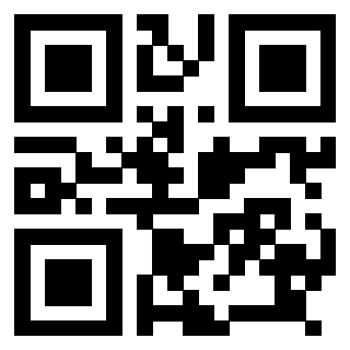 Il Qr Code di 3918520809