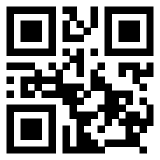 Il Qr Code di 3918520985