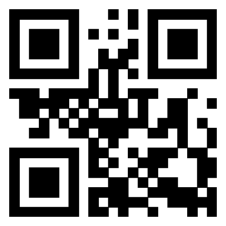 Il Qr Code di 3918524939