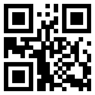 Il Qr Code di 3918525080