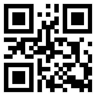 Il Qr Code di 3918525628