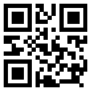 Il Qr Code di 3918538989