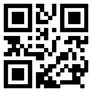 Il Qr Code di 3918539658