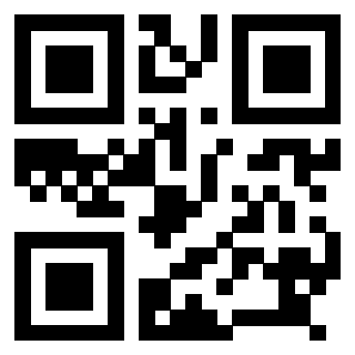Il Qr Code di 3918539681