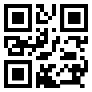 Il Qr Code di 3918546192