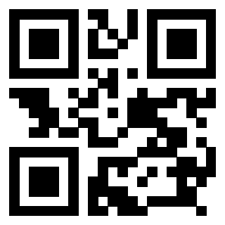 QrCode di 3918583844