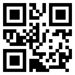 Il Qr Code di 3918606683