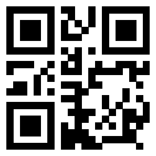 Il Qr Code di 3918606886