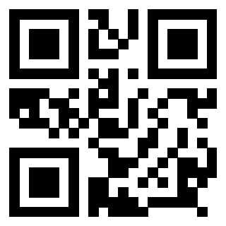 Il Qr Code di 3918607038